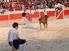 Abanilla 2010 (4)