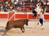 Abanilla 2010 (17)