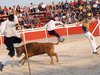Abanilla 2010 (8)