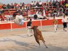 Abanilla 2010 (6)