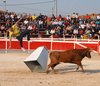 Abanilla 2010 (21)