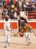 Abanilla 2010 (13)