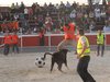 Abanilla 2010 (36)