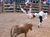 ALBARRACIN-CRISTINA-(8)