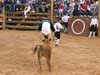 ALBARRACIN-CRISTINA-(2)