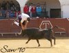 almaden9