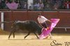 almaden7