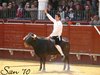 almaden8