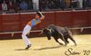 almaden6