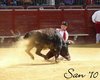almaden15