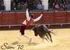almaden13