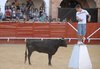 Almadenjulio-(22)