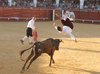 Almadenjulio-(19)