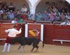 Almadenjulio-(6)