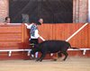 Almadenjulio-(5)