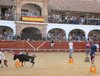 Almadenjulio-(23)