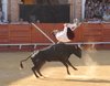 Almadenjulio-(11)