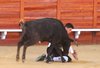 Almadenjulio-(1)
