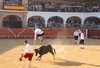 Almadenjulio-(14)