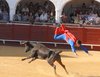 Almadenjulio-(7)