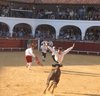 Almadenjulio-(18)