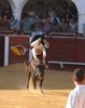 Almadenjulio-(10)