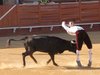 Almadenjulio-(3)