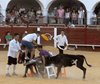 Almadenjulio-(31)