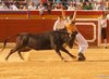 Benidorm-(43)