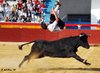Benidorm-(17)