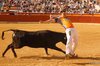 Benidorm-(41)