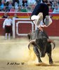 Benidorm-(27)