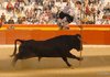 Benidorm-(20)