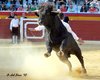 Benidorm-(28)