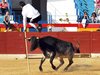 Benidorm-(7)