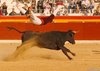 Benidorm-(12)
