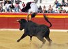 Benidorm-(14)