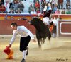 Benidorm-(29)