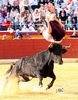 BENIDORM-2-4-10-Ivan18