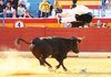 BENIDORM-2-4-10-Ivan19