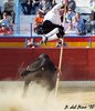 Benidorm-(25)