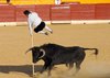 Benidorm-(22)