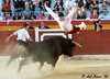 Benidorm-(30)