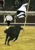 brihuega3