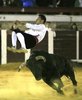 brihuega4