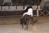 CASAS14