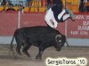 EL MOLAR (4)