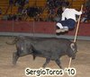 EL MOLAR (5)