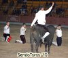 EL MOLAR (6)