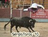 EL MOLAR (3)